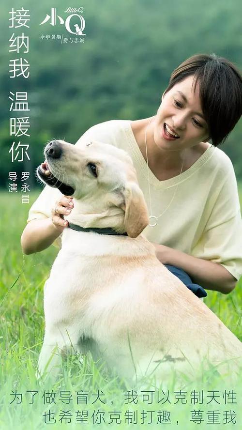 高中毕业证没有政审不过