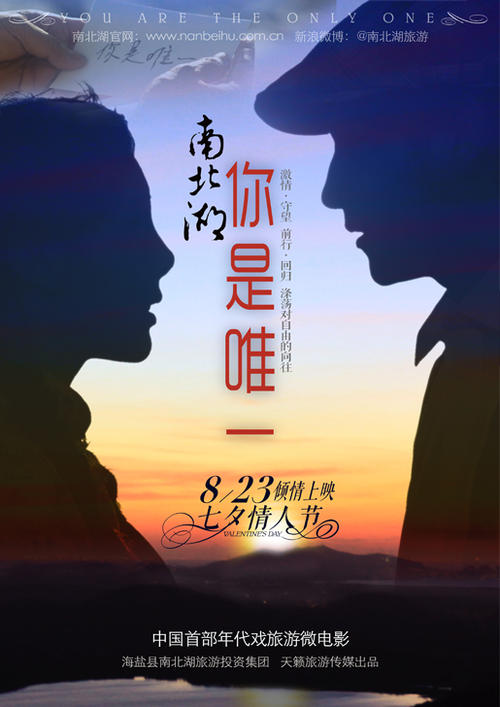 高仿南泰恩赛德学院文凭毕业证